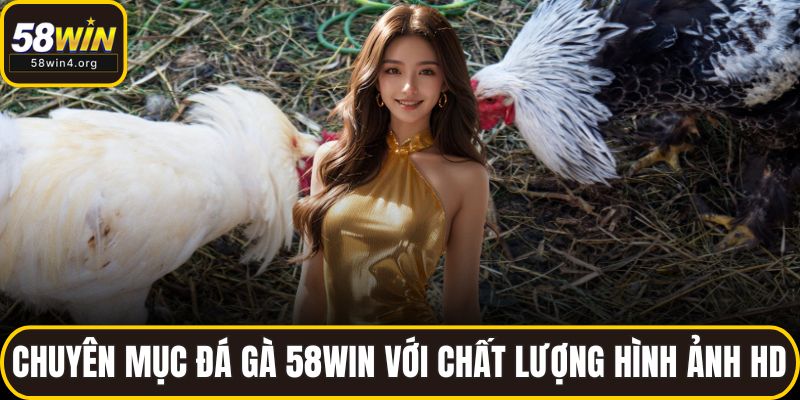 Chuyên mục đá gà 58WIN với chất lượng hình ảnh HD
